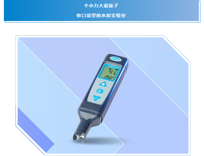 “新”动时刻, 让你心中的哈希最强新品C位出道